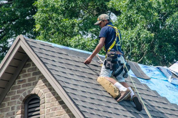 Best Residential Roofing Contractor  in Headland, AL
